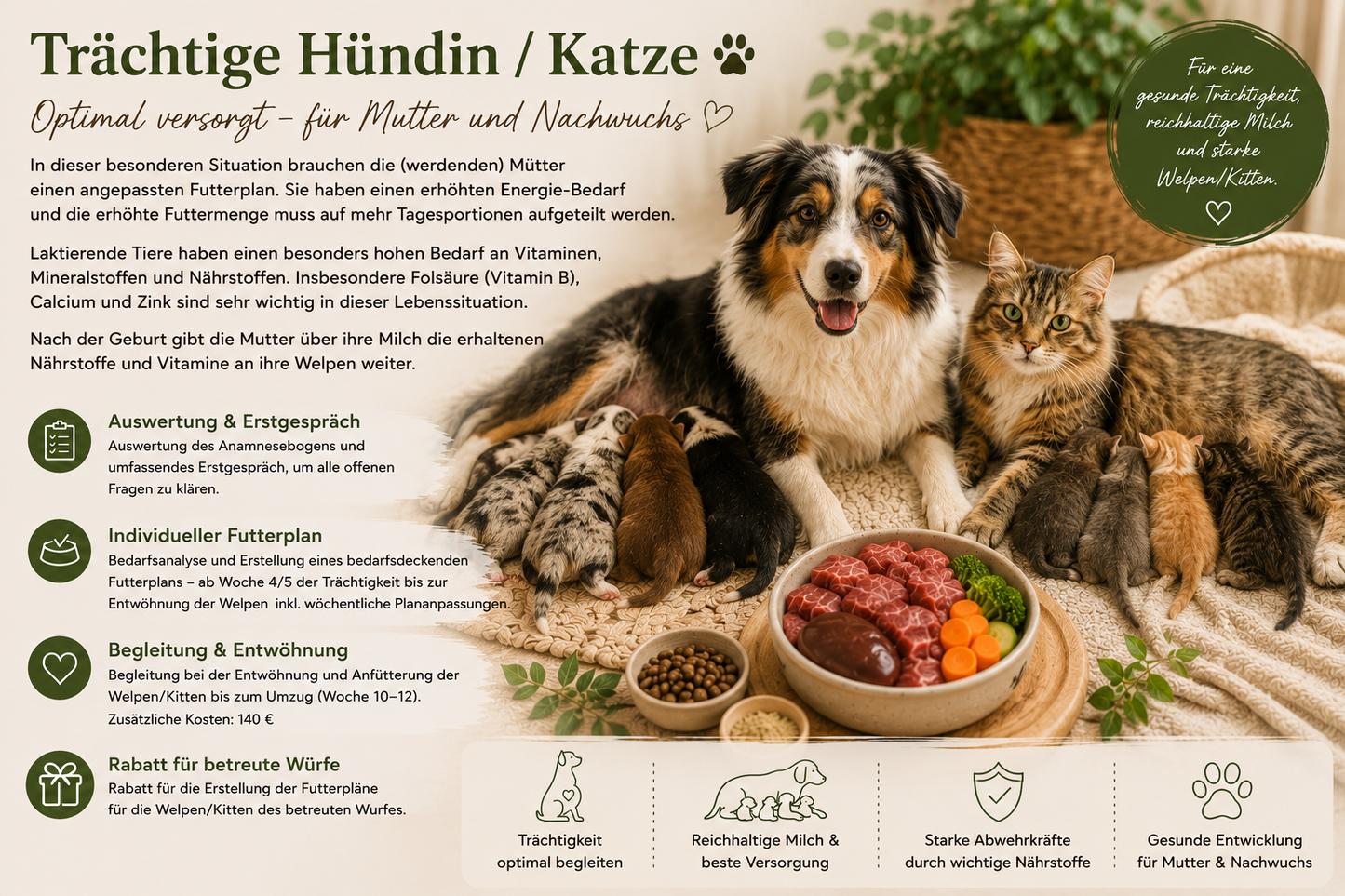 Futterplan für trächtige Hündinnen & Katzen