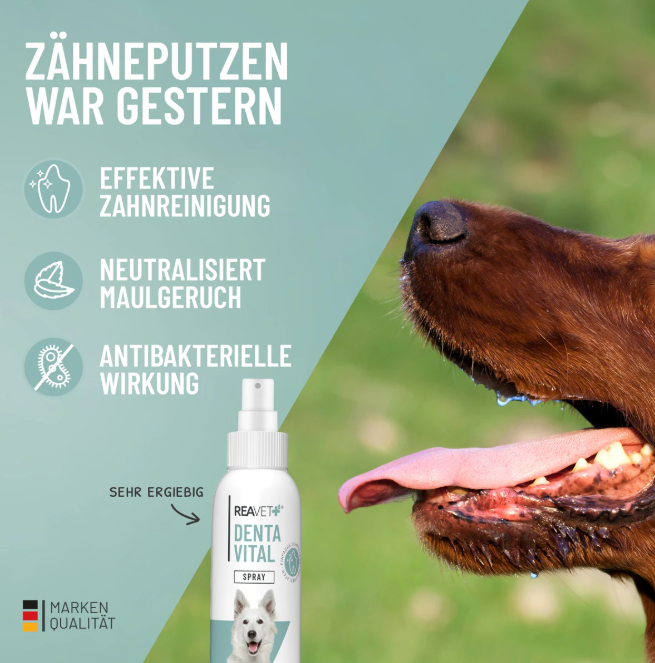 Denta Vital Spray 120ml