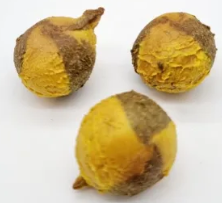 Duo Kugel Joghurt 100g