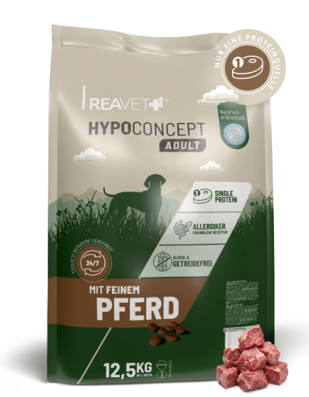 Hypoconcept Adult – Mit feinem Pferd