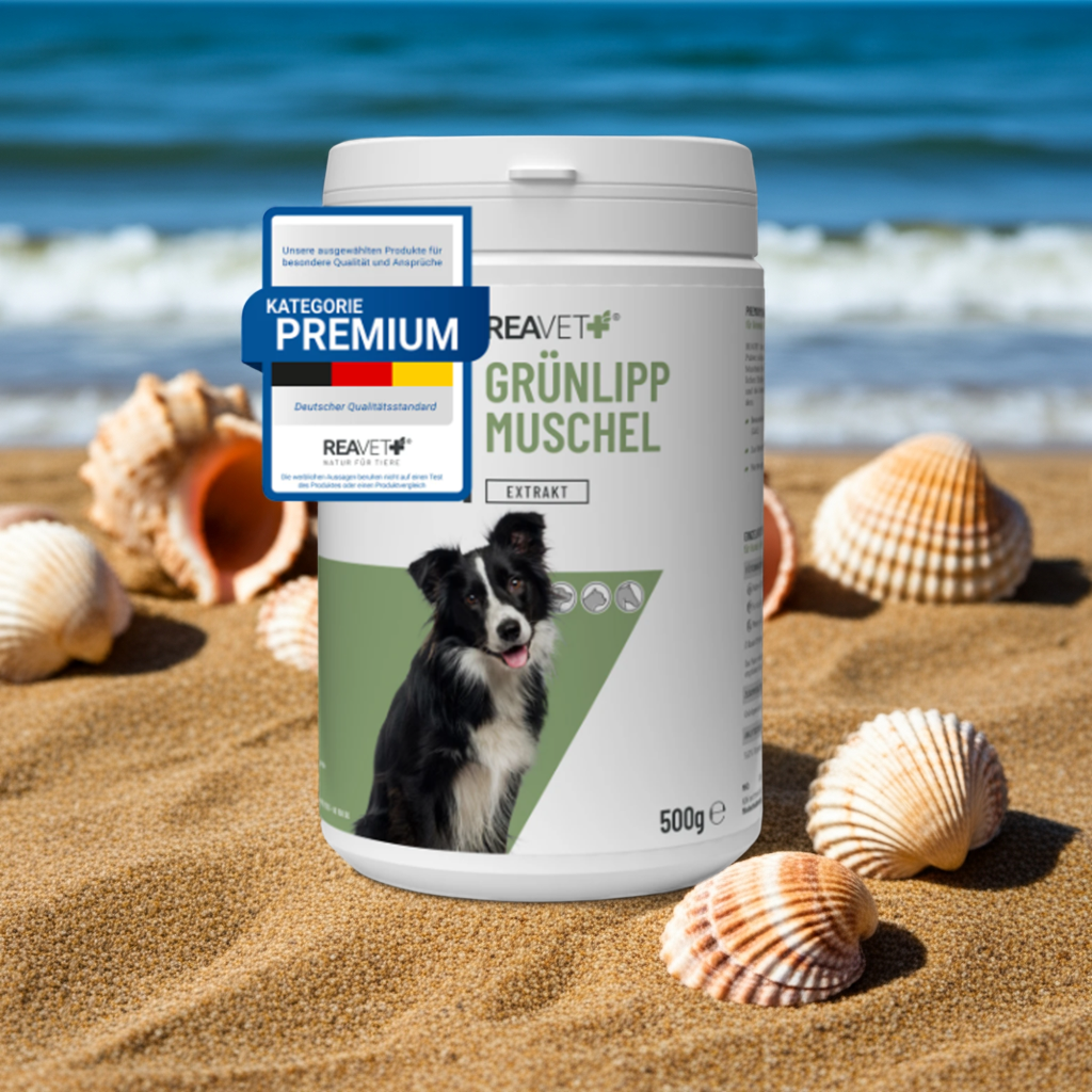 Grünlippmuschel Extrakt