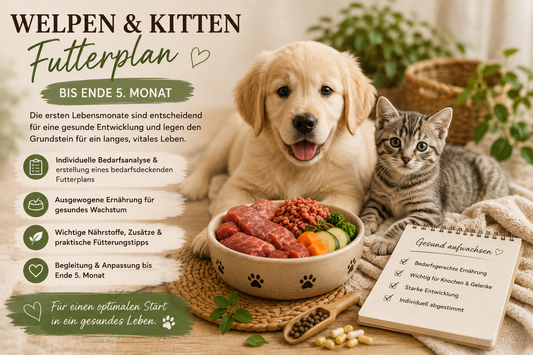 Welpen- & Kitten-Futterplan
