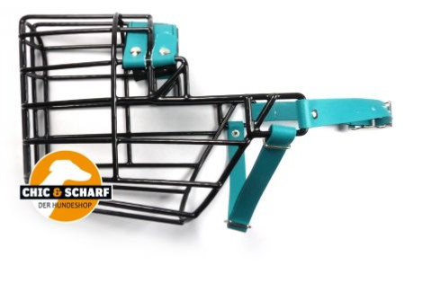 CHOPO Dobermann Rüde