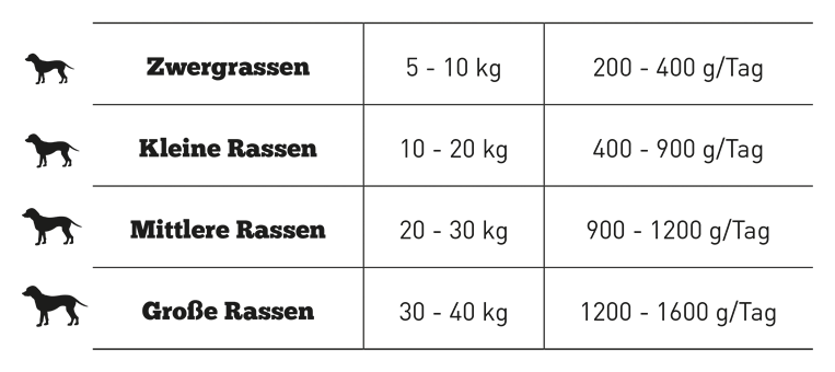 Pferd mit Zucchini & Apfel