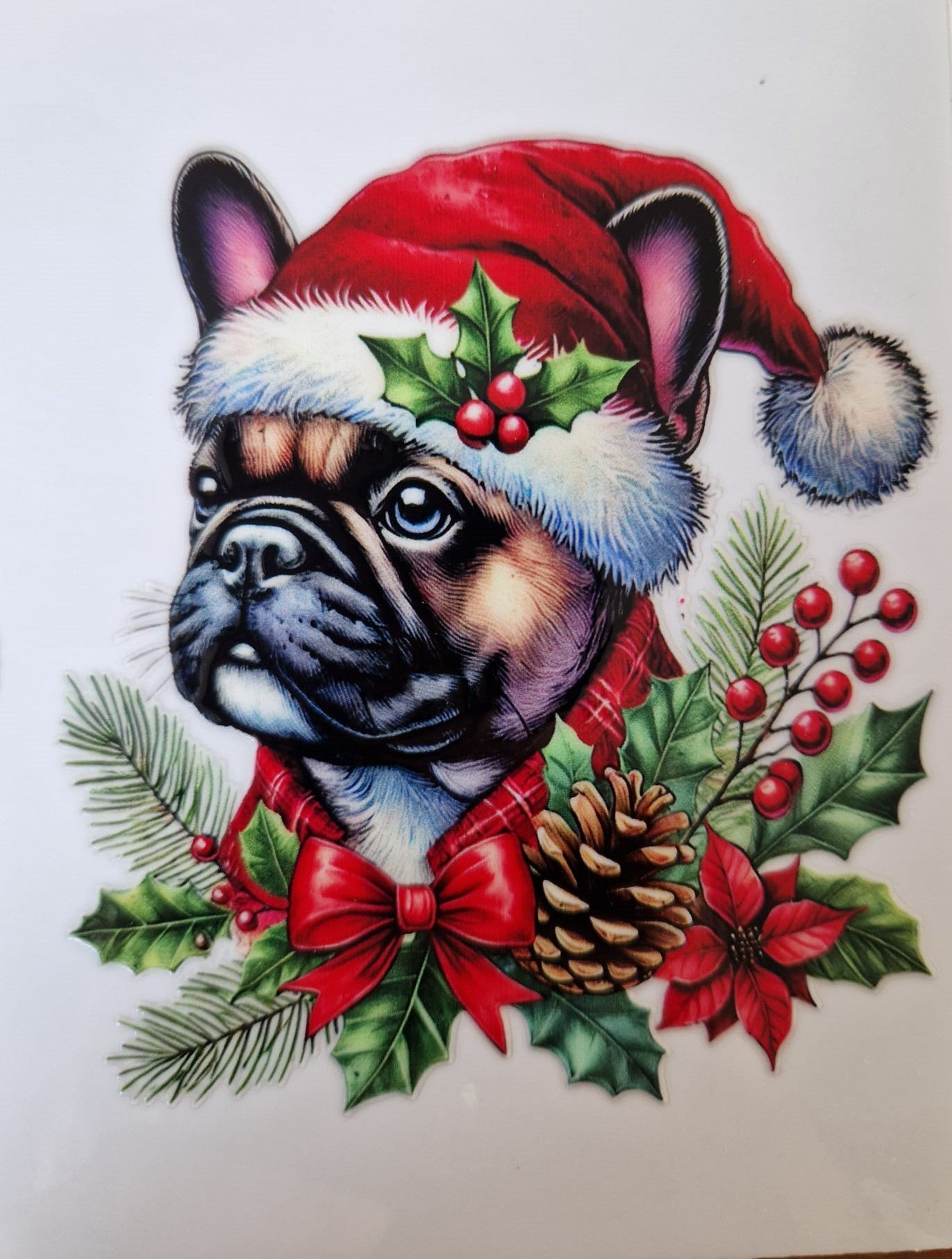 Glas mit Deckel&Stohhalm + Hundemotiv