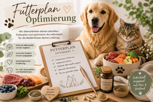 Futterplan-Anpassung