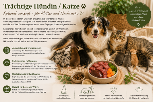 Futterplan für trächtige Hündinnen & Katzen