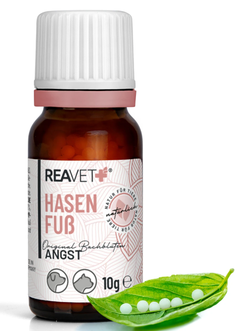 Bachblüten Globuli - Hasenfuß