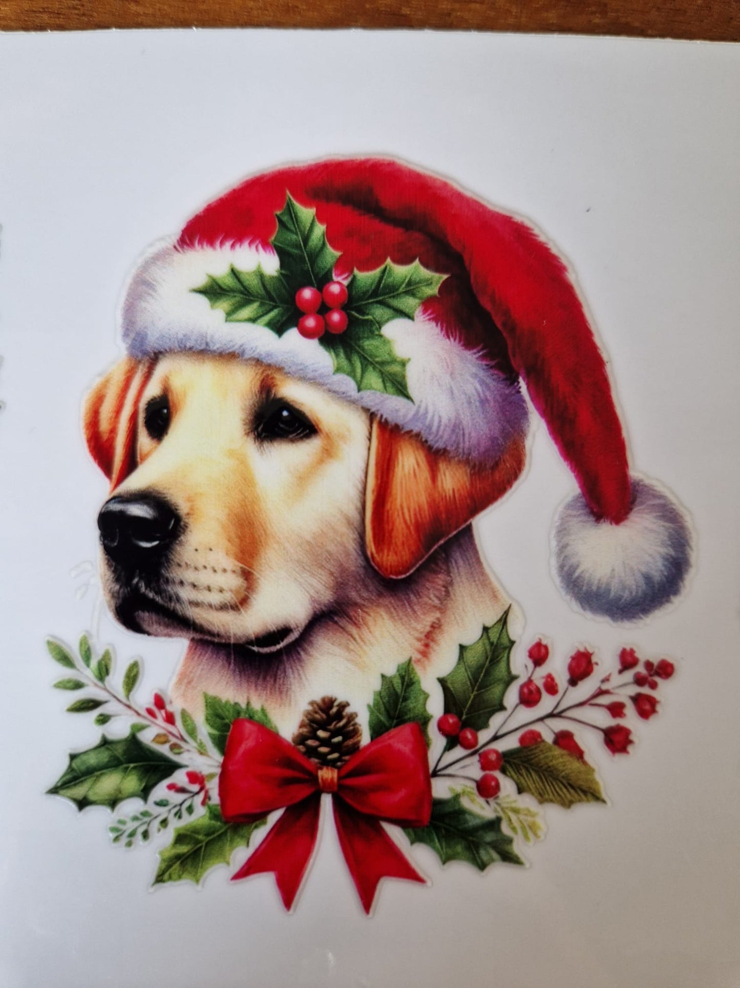 Glas mit Deckel&Stohhalm + Hundemotiv