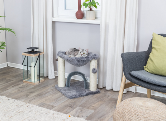 Kratzbaum Baza mit Bürste