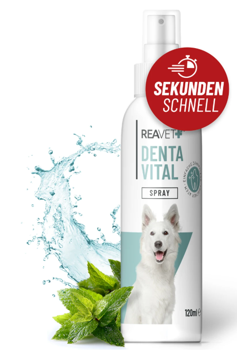 Denta Vital Spray 120ml