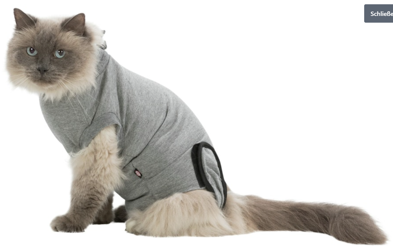 OP-Body für Katzen