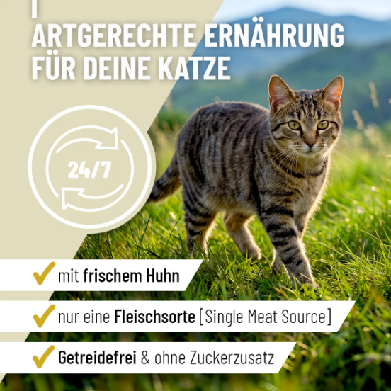 Dailyconcept Adult – Mit frischem Huhn