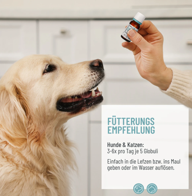 Bachblüten Globuli - Hasenfuß