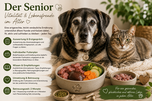 Senioren-Futterplan