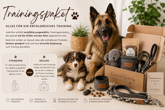 Trainingspaket