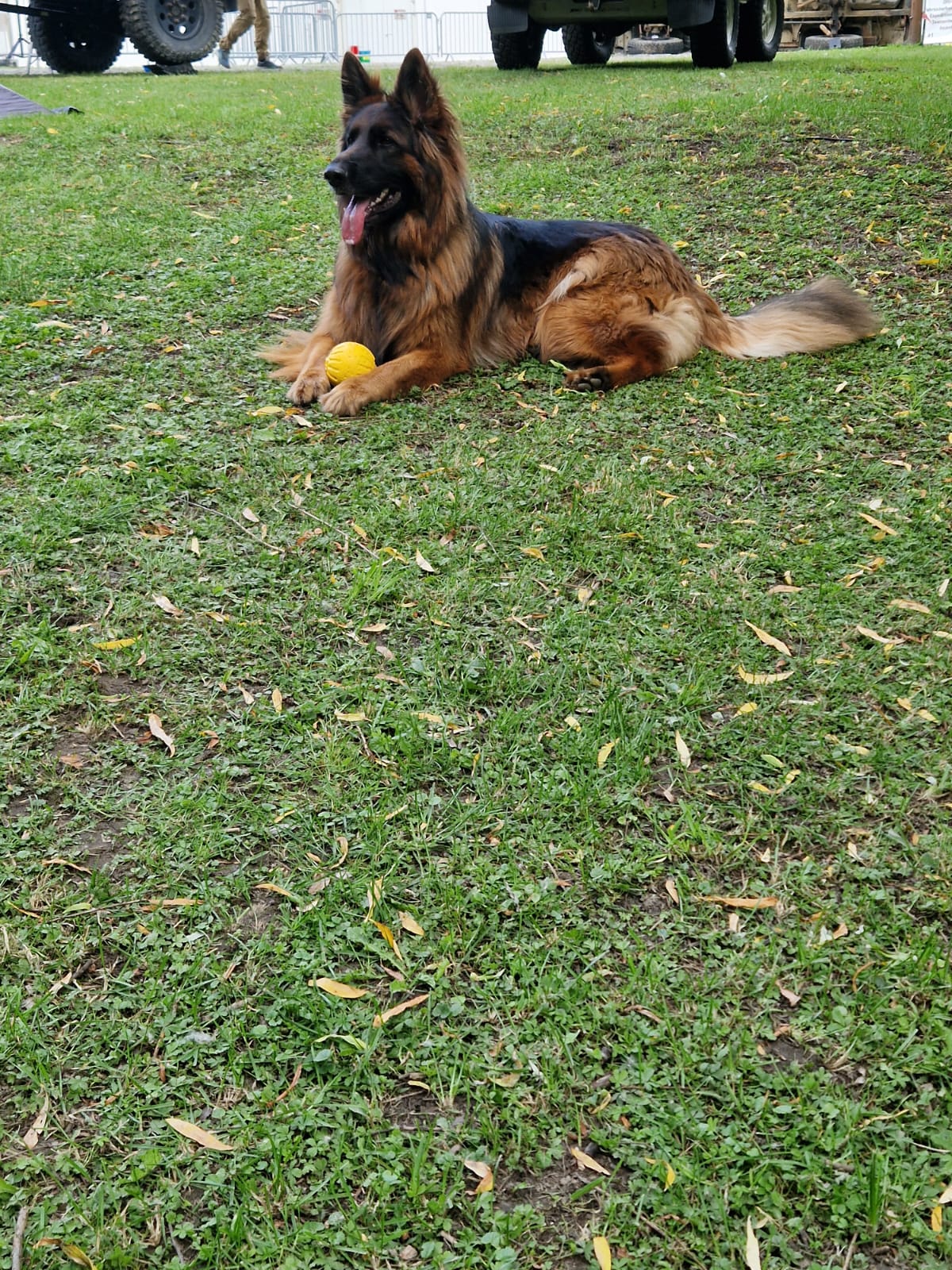 Fantastic Durafoam Ball