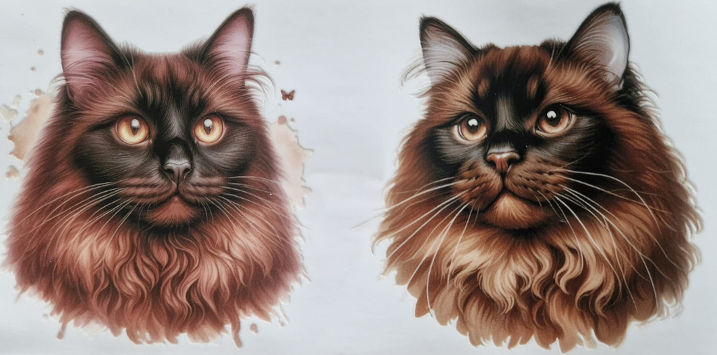 Glas mit Deckel&Stohhalm + Katzenmotiv