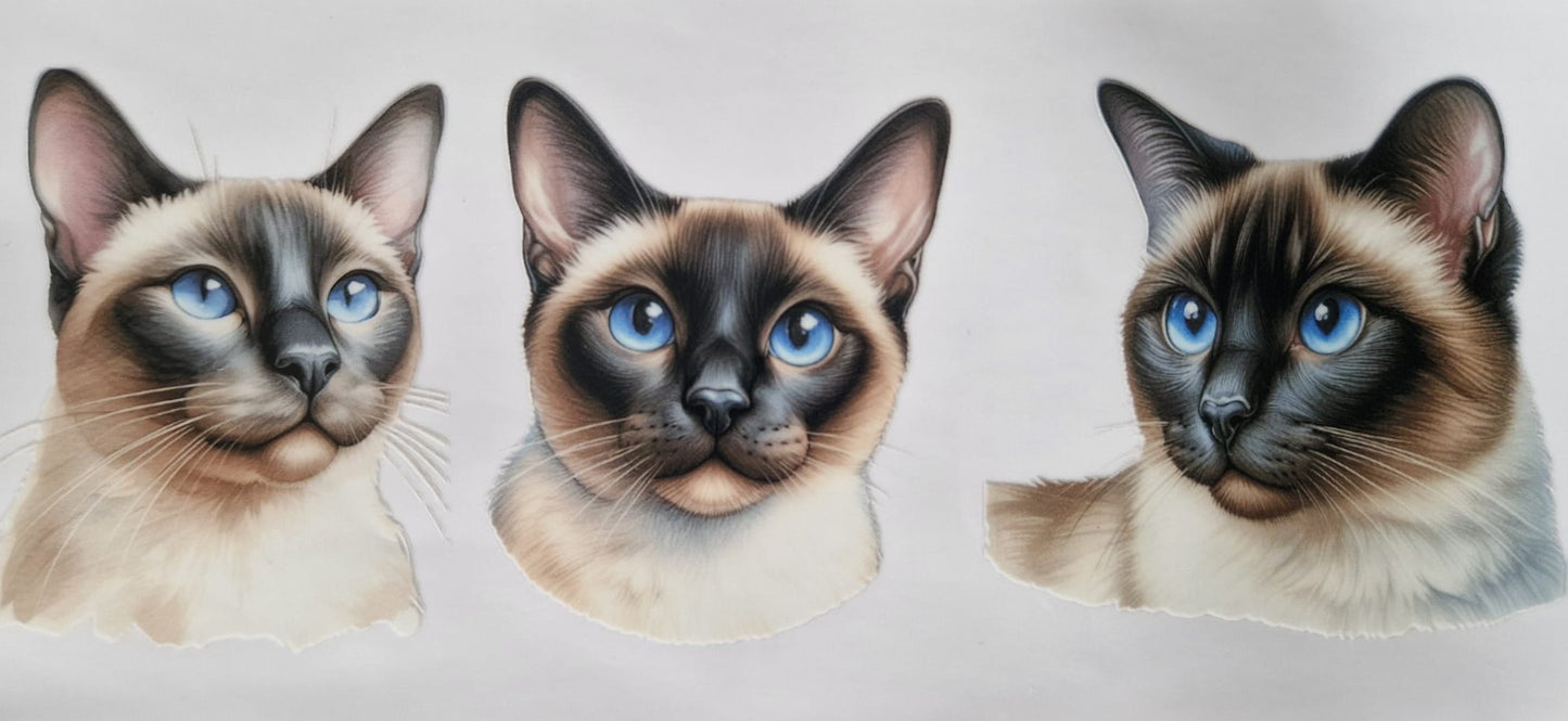 Glas mit Deckel&Stohhalm + Katzenmotiv