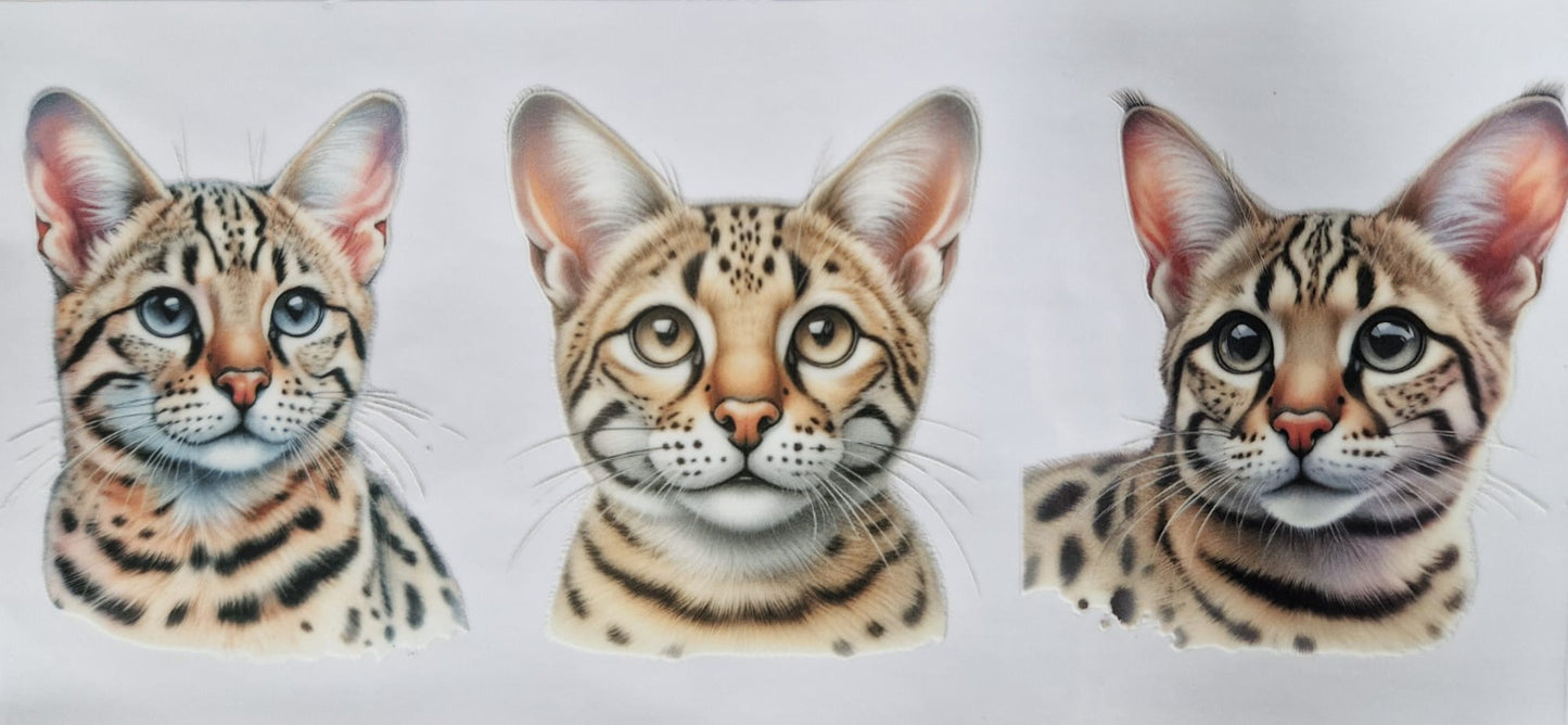 Glas mit Deckel&Stohhalm + Katzenmotiv