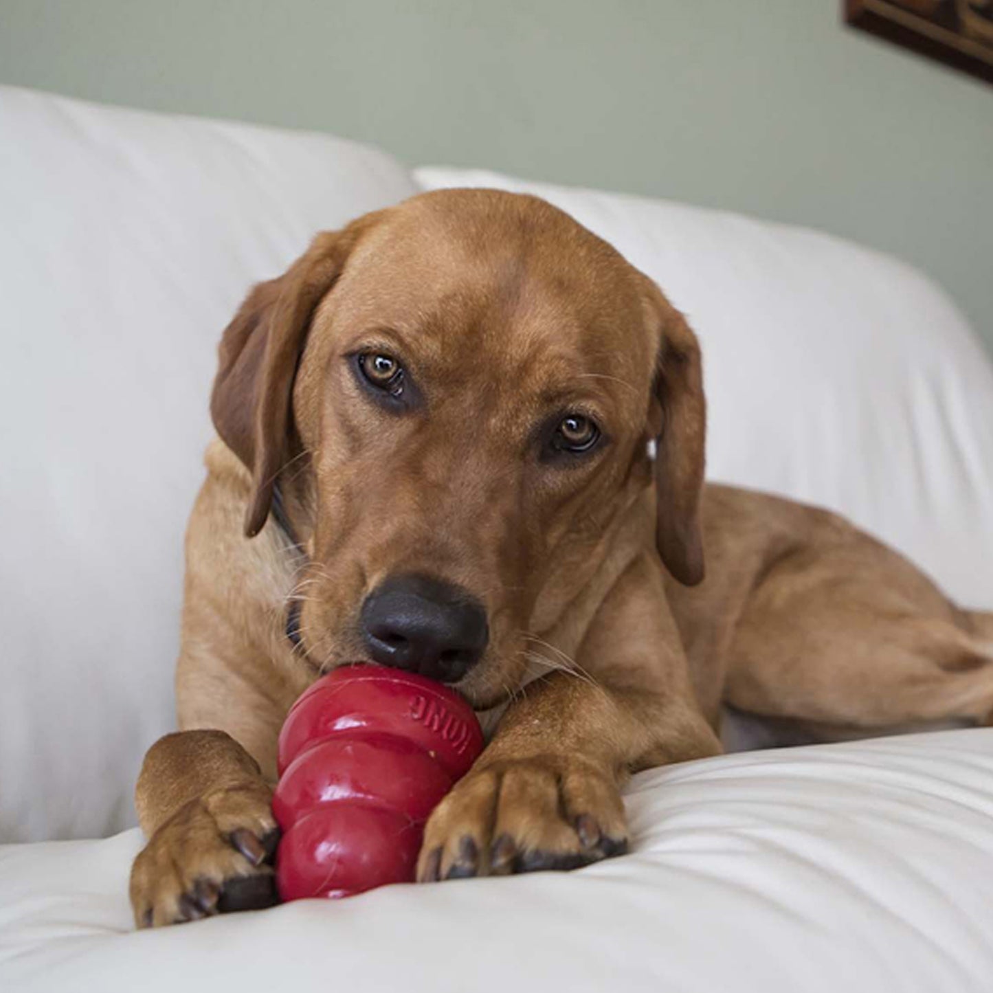 Easy Treat