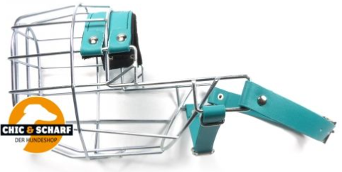 CHOPO Bullterrier Rüde