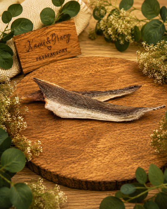 Hechtfilet mit Haut 100g