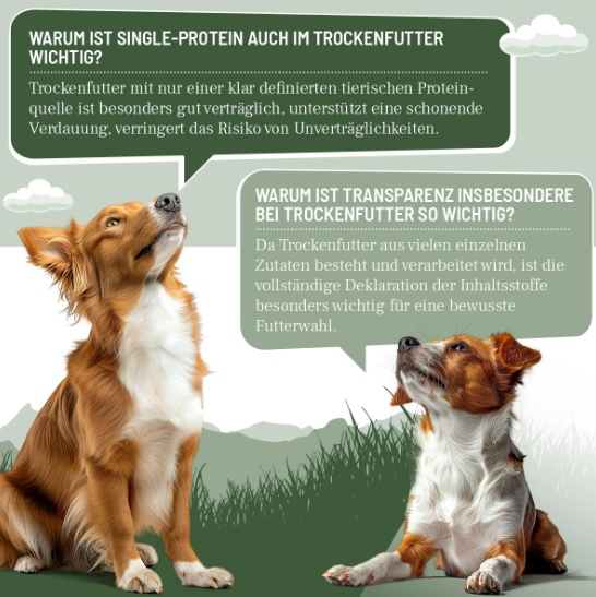 Hypoconcept Adult – Mit feinem Hirsch