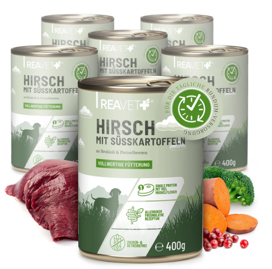 Hirsch mit Süßkartoffel an Brokkoli & Preiselbeeren