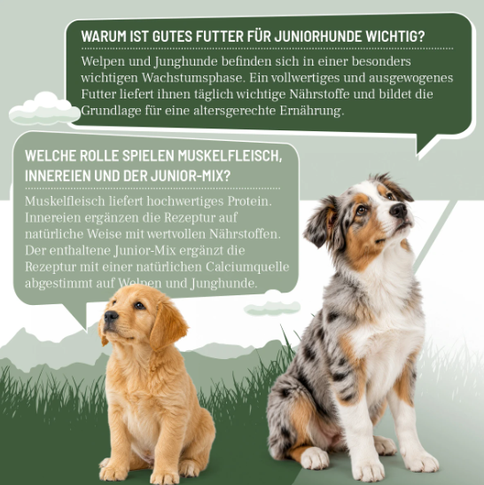 Junior Menü mit Kaninchen an Süßkartoffeln, Spinat & Apfel