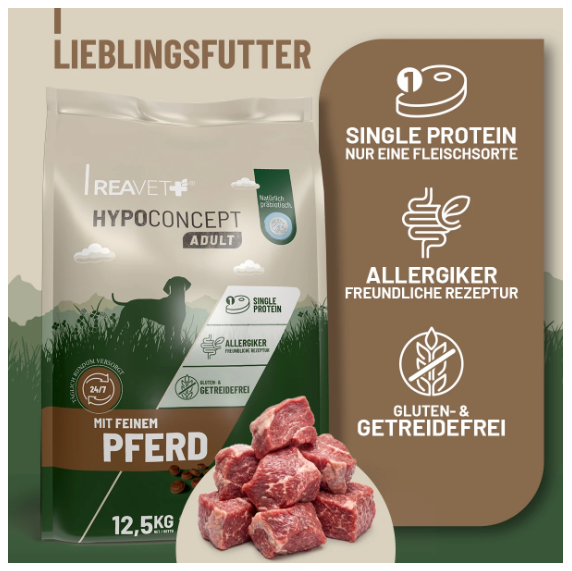 Hypoconcept Adult – Mit feinem Pferd
