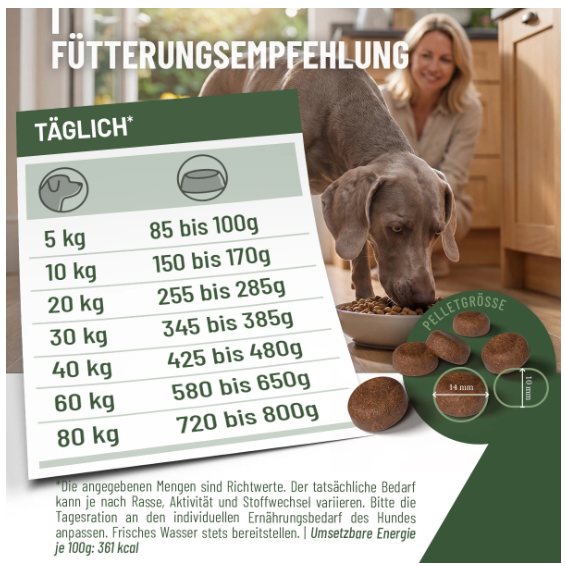 Hypoconcept Adult – Mit feinem Pferd