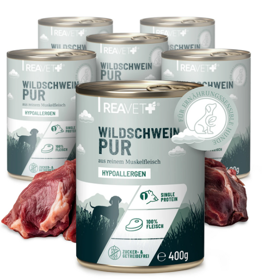 Wildschwein Pur