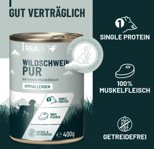Wildschwein Pur
